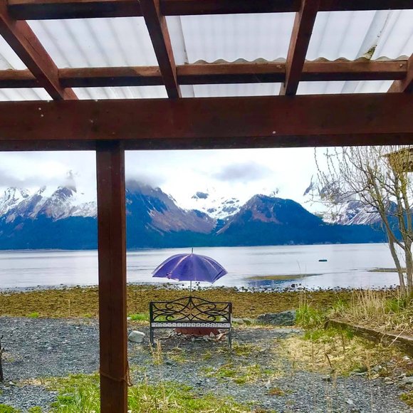 Melissa in Alaska ♥ FASTDOGS - Picture 10 of 14